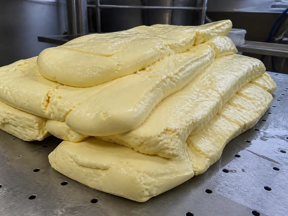 Stacked Cheddar curd slabs during the cheddaring stage - Keen's Cheddar | KnowTheCheese