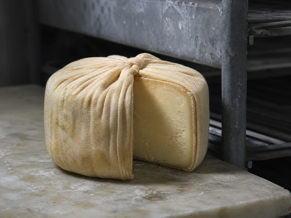 Cloth-bound Lancashire wheel showing its natural rind and ivory paste - Lancashire | KnowTheCheese