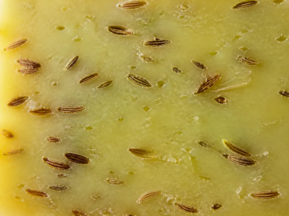 Cumin seeds distributed through the firm paste of Leyden cheese - Leyden | KnowTheCheese