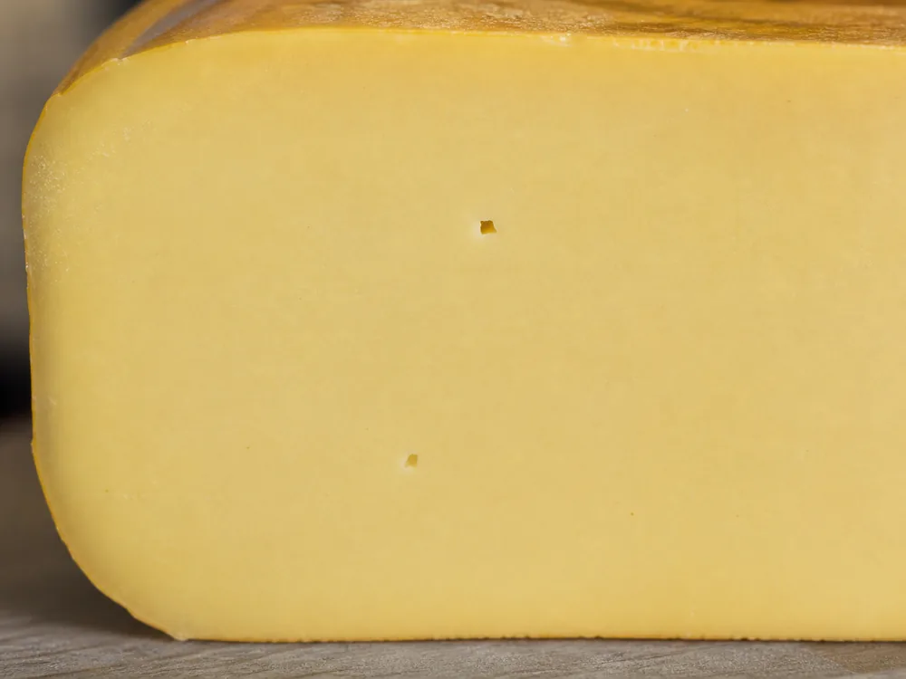 Close Leyden paste with only a few small mechanical openings - Leyden | KnowTheCheese