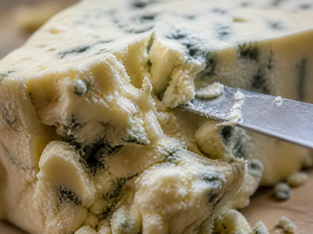 A blue cheese wedge broken to show an uneven crumbly fracture - Maytag Blue | KnowTheCheese