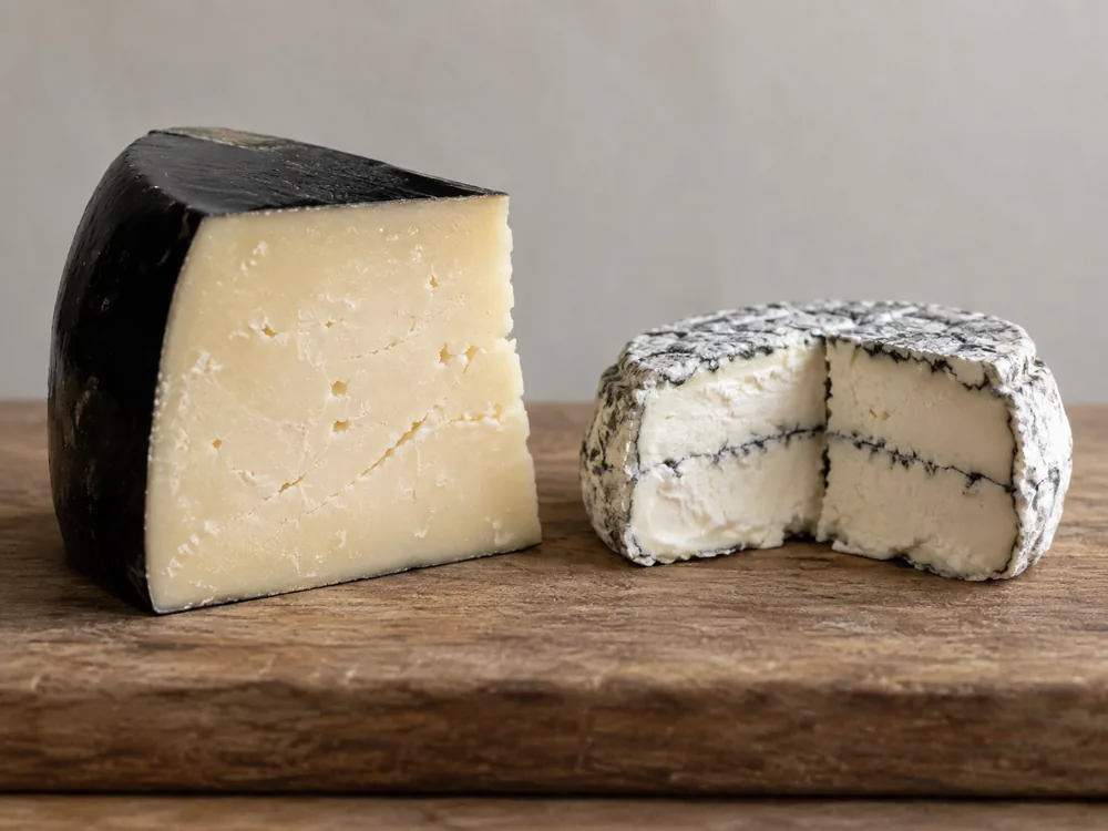 Firm black-waxed cheese wedge beside a cut soft goat cheese with a grey ash line - Midnight Moon | KnowTheCheese