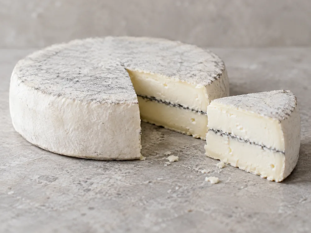 Illustration of a flat round cheese wheel with one wedge cut out, the cut faces bone-white with one thin ash line through the middle - Mobay | KnowTheCheese
