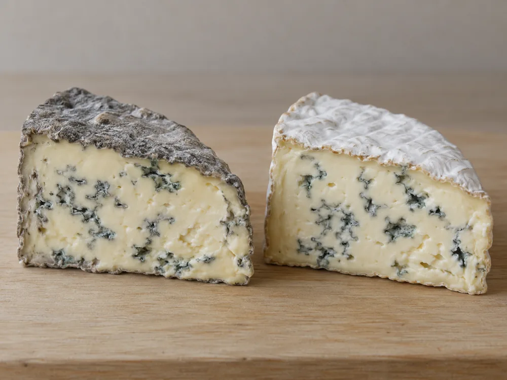 Illustration of two cut wedges of blue-veined cheese side by side, one with a grey rind and one with a white bloomy rind, standing for Montagnolo and Cambozola | KnowTheCheese