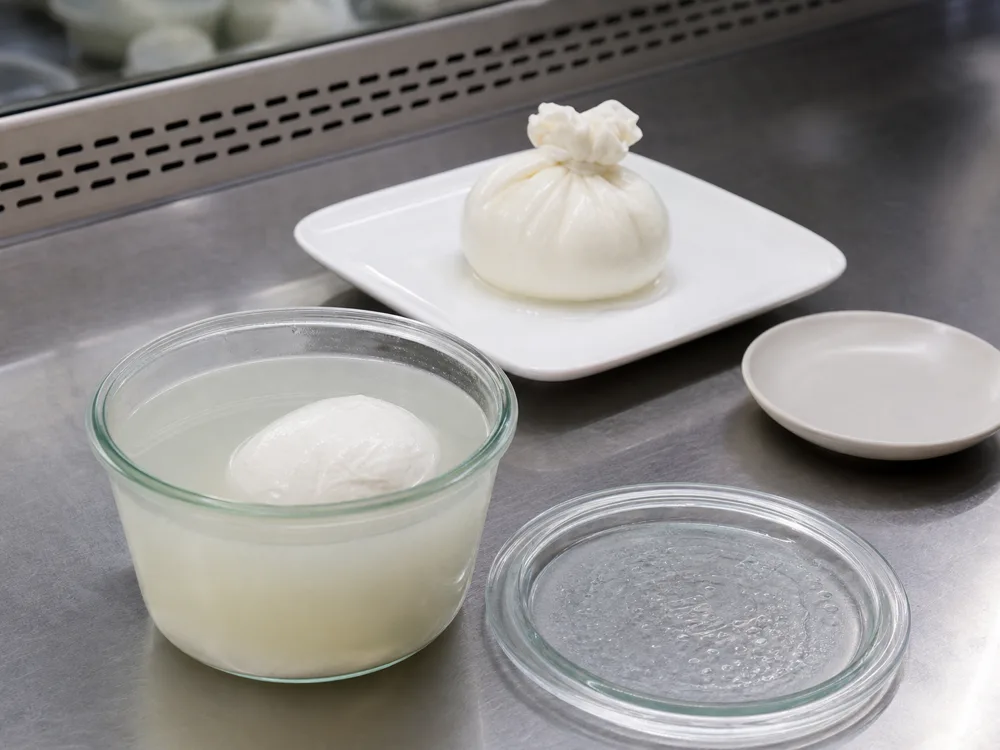 Mozzarella held in whey beside burrata ready on a chilled plate - Mozzarella vs Burrata | KnowTheCheese