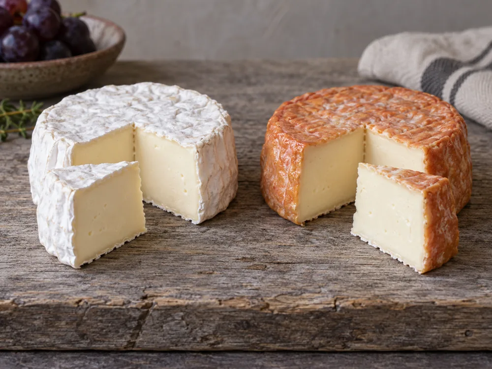 Illustration of two small round cheeses side by side, one with a white bloomy rind and one with a washed rind, each cut open - Mt Tam and Red Hawk | KnowTheCheese