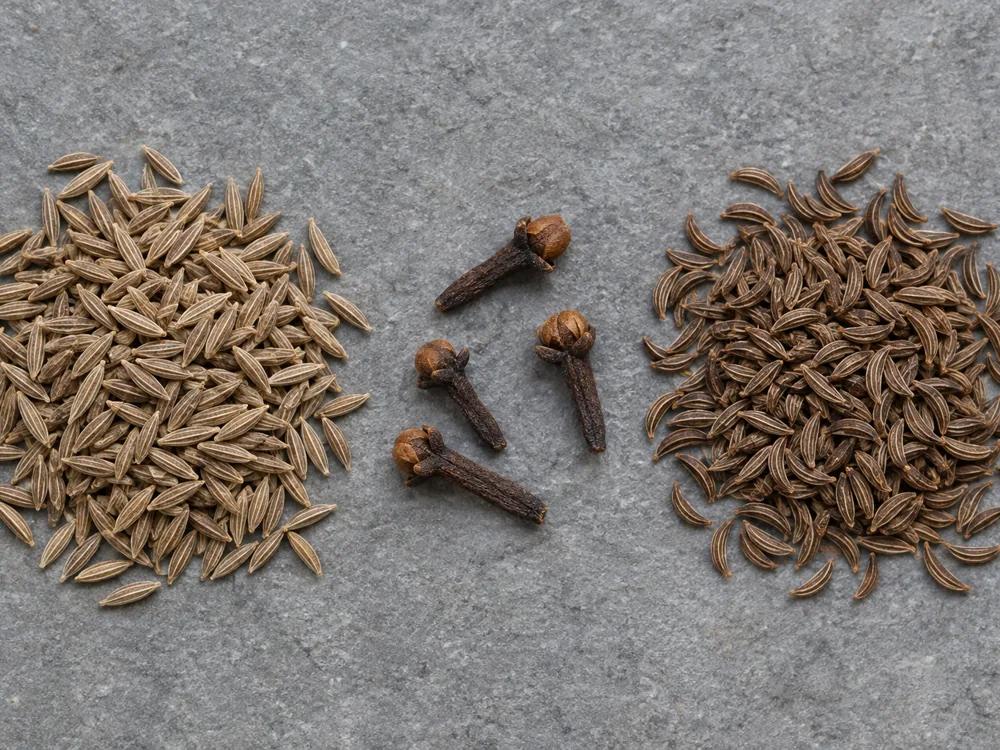Cumin seeds, whole cloves and caraway seeds arranged side by side