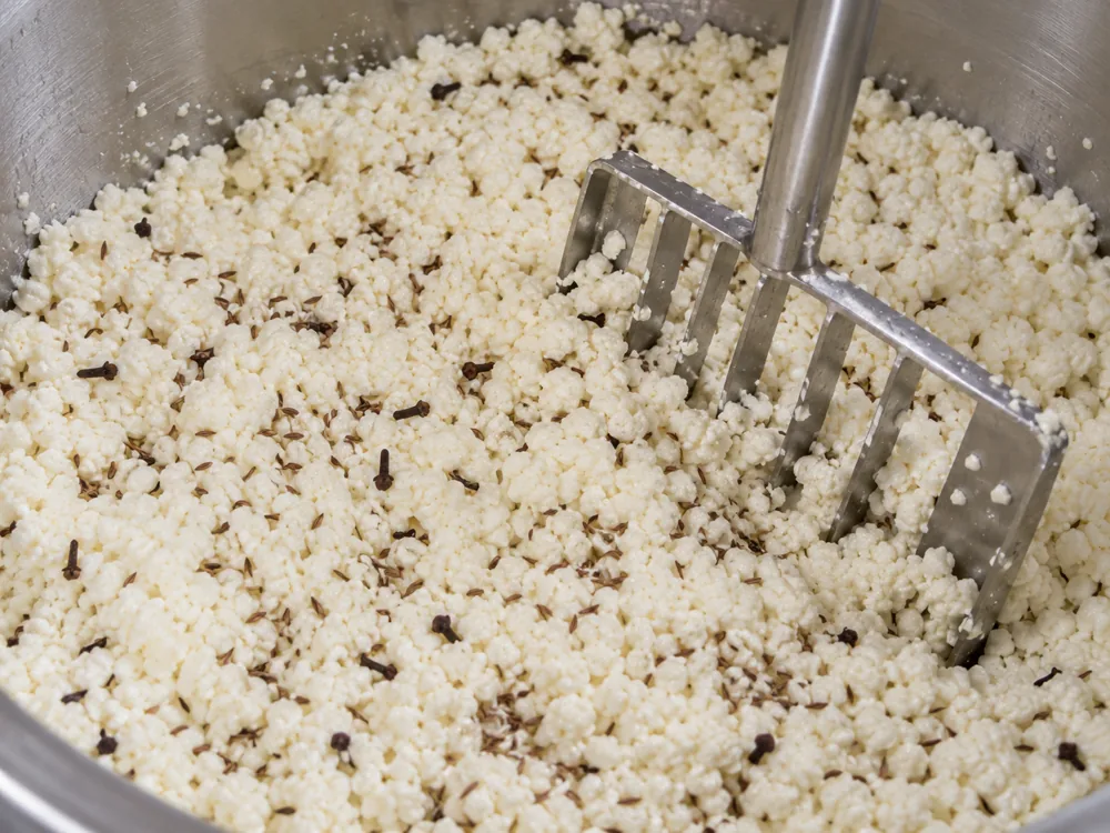 Spice seeds and clove mixed through drained cheese curds before pressing