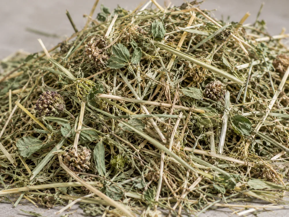 Dried grasses and legumes piled loose in daylight - Organic Cheddar | KnowTheCheese
