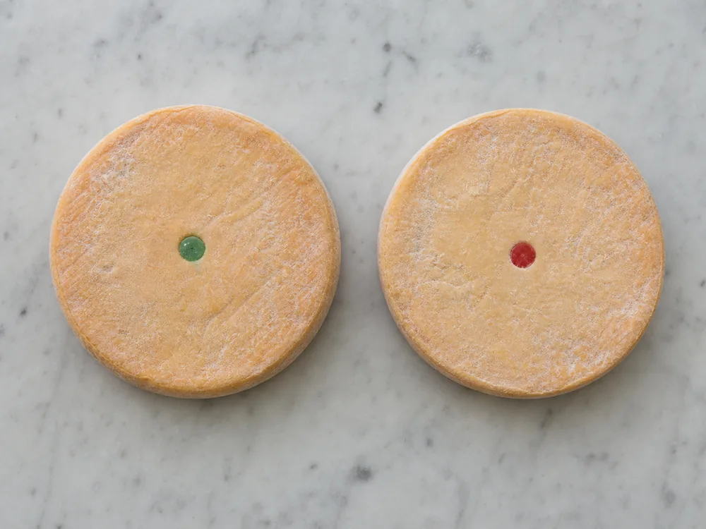 Reblochon fermier with a green disc beside laitier with a red disc - Reblochon | KnowTheCheese