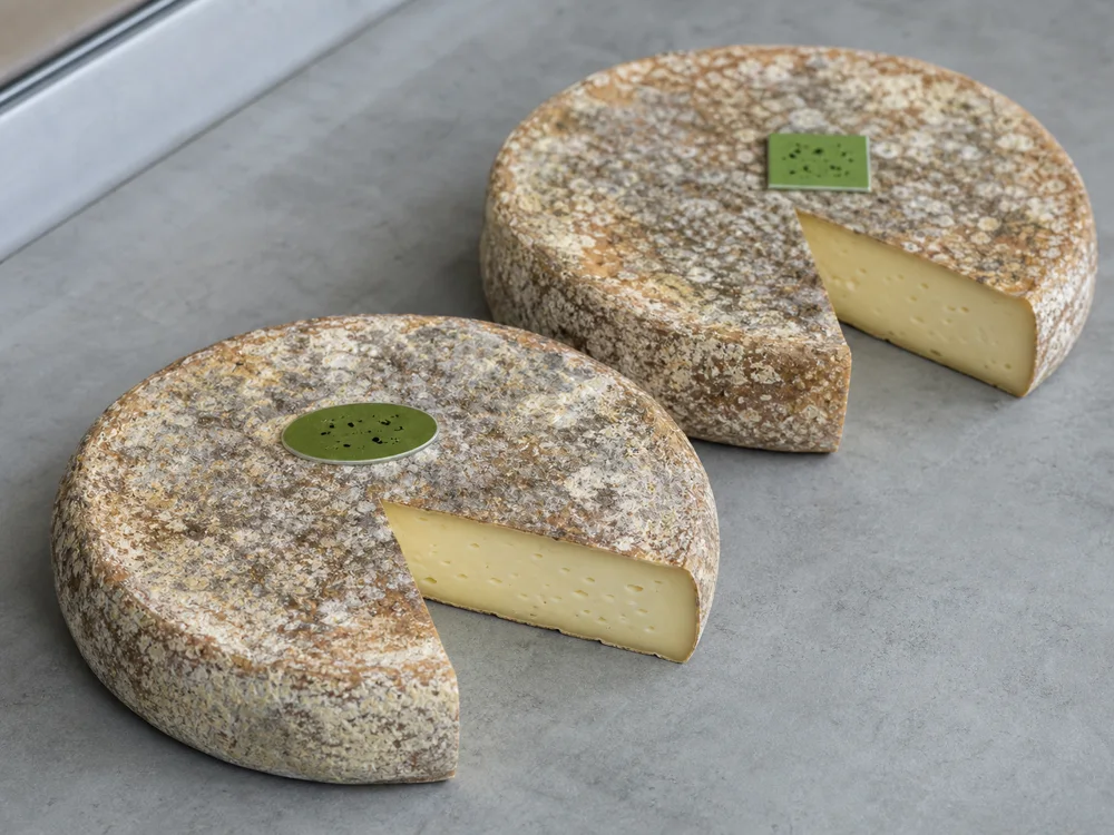 Oval and square green casein plaques on two Saint-Nectaire wheels - Saint-Nectaire | KnowTheCheese