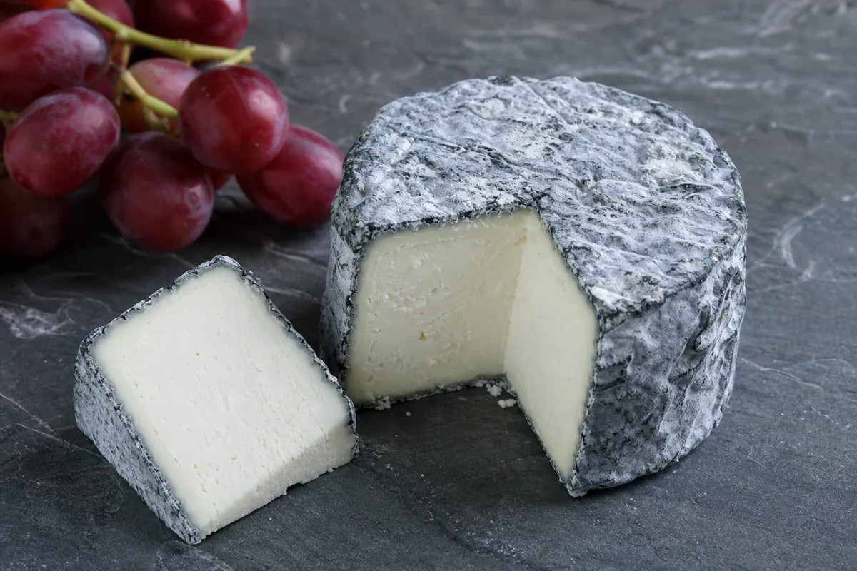 Small Selles-sur-Cher goat drum with ashed grey rind - Selles-sur-Cher cheese | KnowTheCheese
