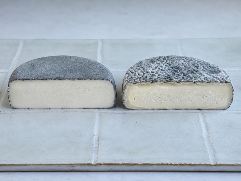 Young and mature Selles-sur-Cher halves showing changes in rind and paste - Selles-sur-Cher cheese | KnowTheCheese