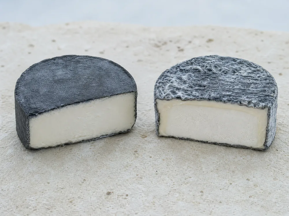 Young and mature Selles-sur-Cher pucks compared - Selles-sur-Cher | KnowTheCheese
