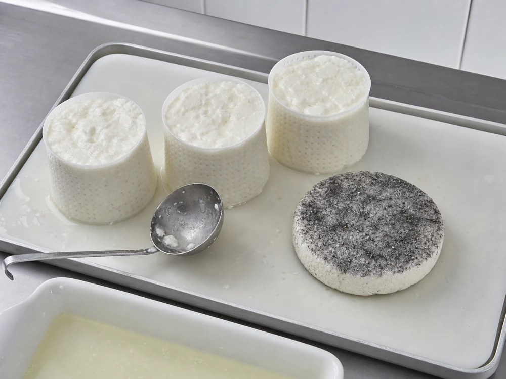 Soft goat curd draining in molds beside an ash-coated Selles-sur-Cher disk - Selles-sur-Cher cheese | KnowTheCheese