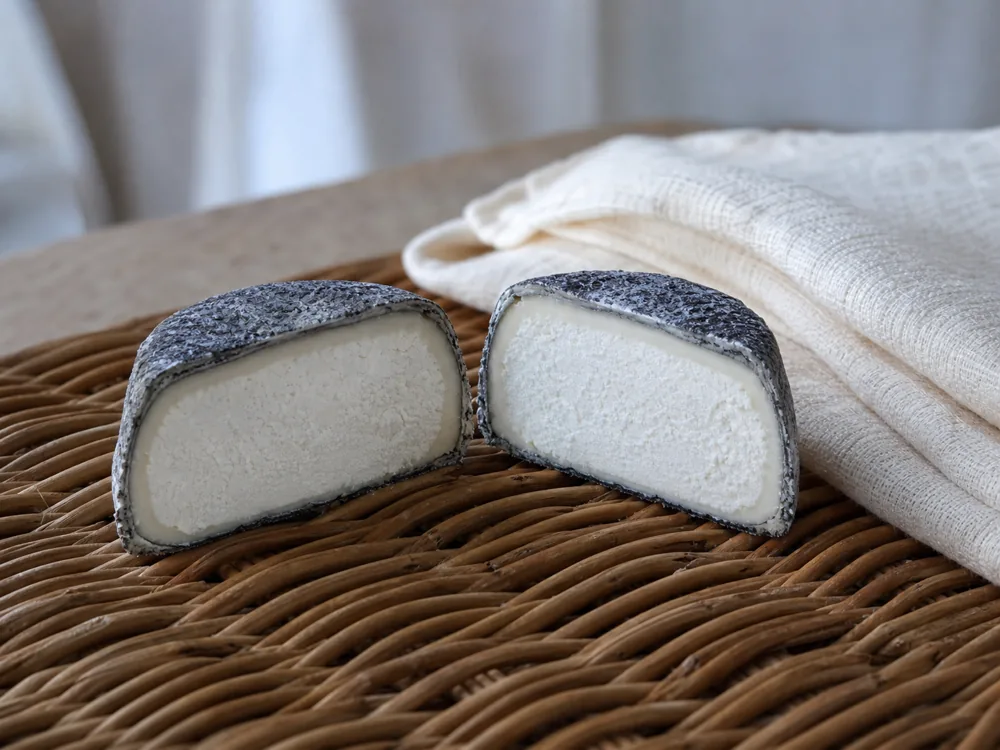 Selles-sur-Cher cut open to show its ash rind and drained curd - Selles-sur-Cher | KnowTheCheese