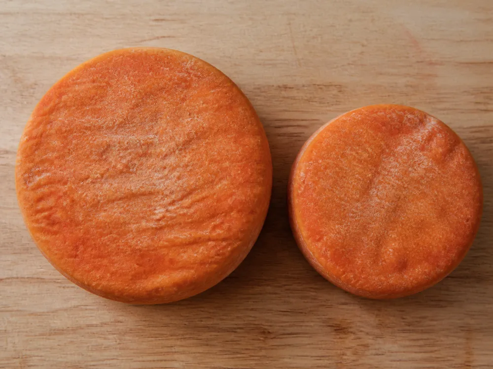 Two round washed-rind cheeses of the same style in two different sizes - Tamie | KnowTheCheese