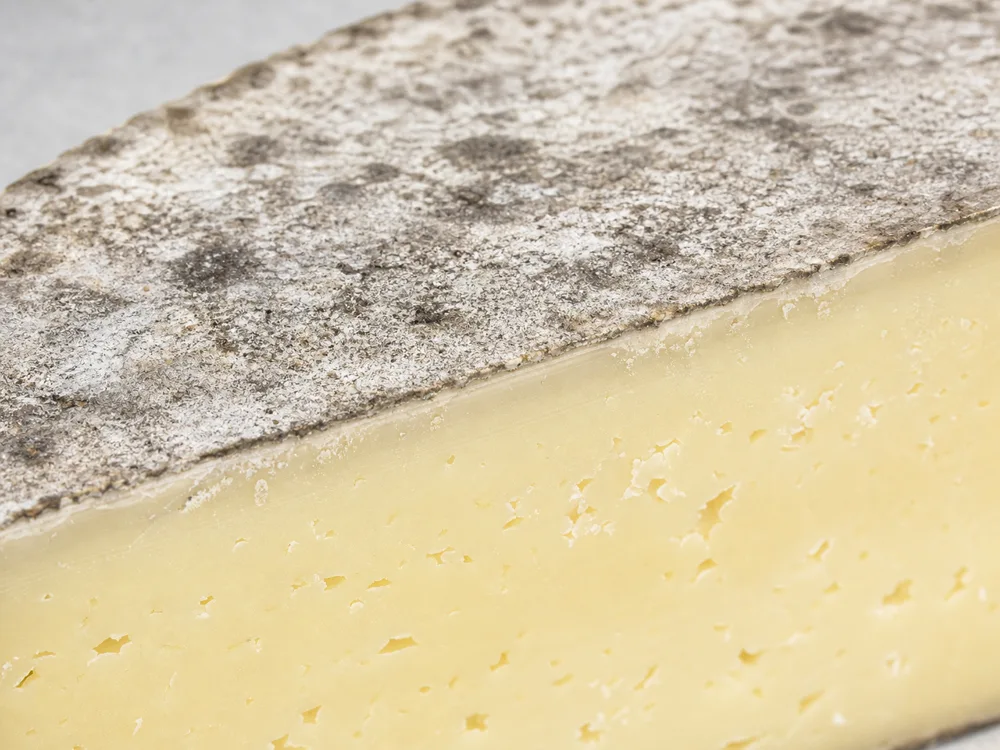 Close view of Tomme de Savoie gray rind and ivory paste - Tomme de Savoie | KnowTheCheese