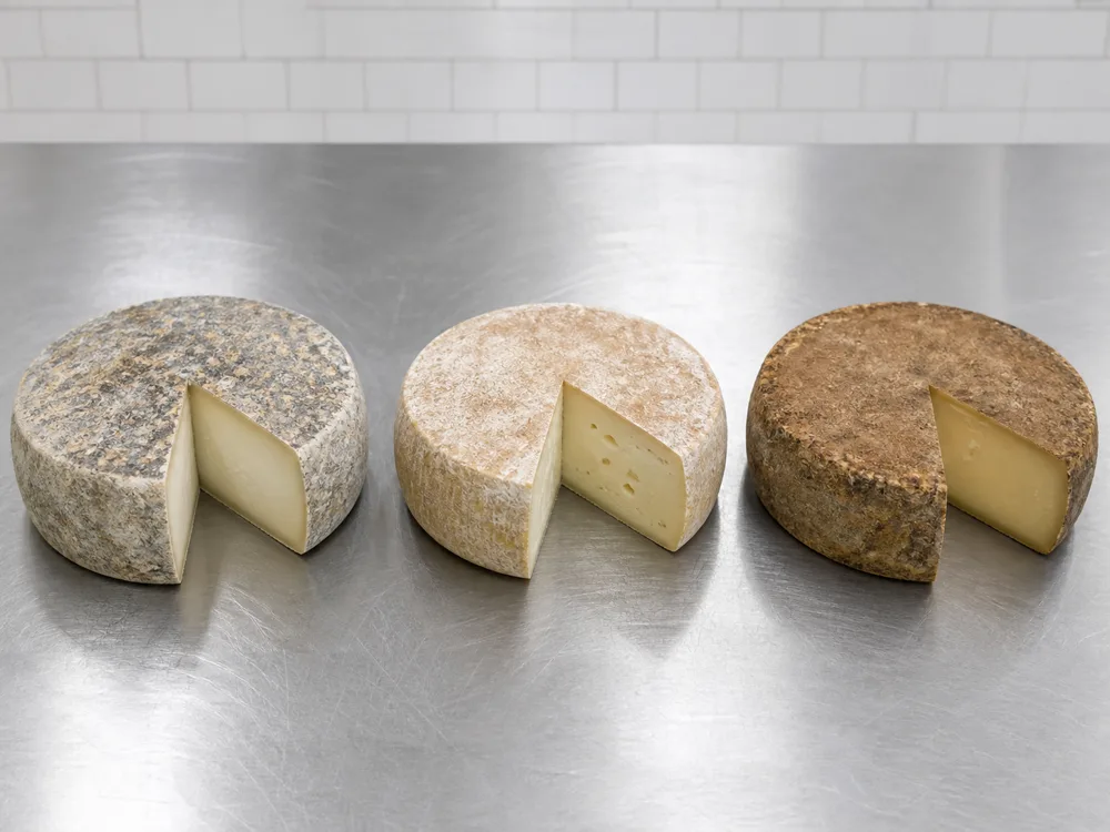 Three Tomme-style wheels with different natural rinds and pastes - Tomme | KnowTheCheese