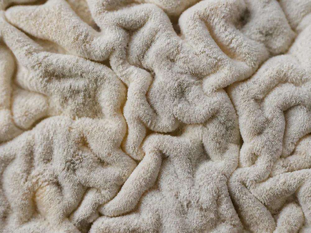 Macro of a finely ridged and folded cream-grey rind surface catching low side light - Tunworth | KnowTheCheese