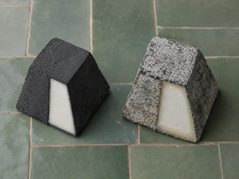 Young and mature Valencay pyramids compared - Valencay | KnowTheCheese