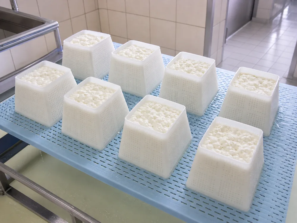 Valencay goat curd draining in truncated pyramid molds - Valencay | KnowTheCheese
